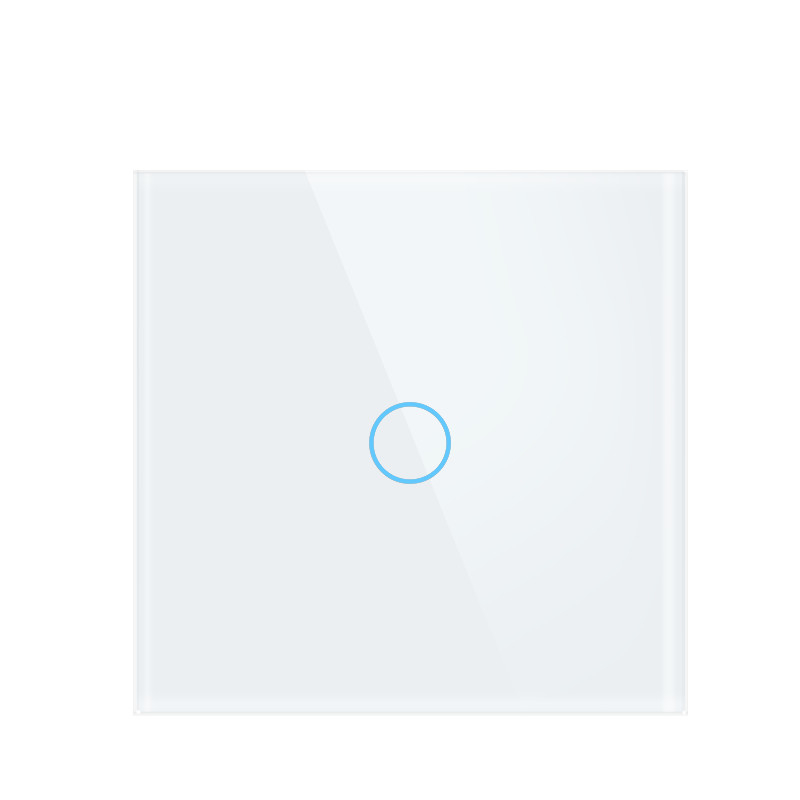 10A WiFi RF Smart 50hz Light Switch Remote Control For Alexa